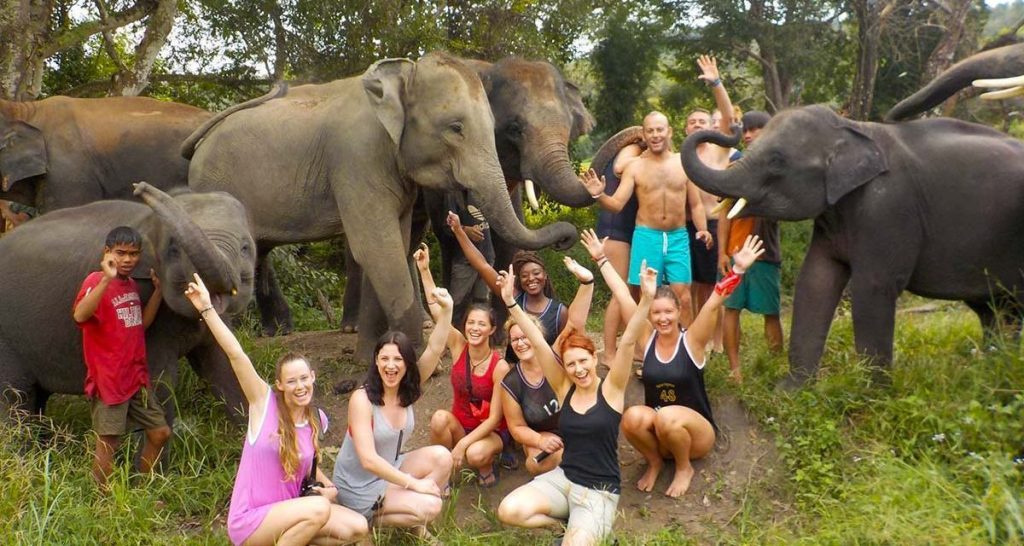 חוות פילים טיפולית בתאילנד